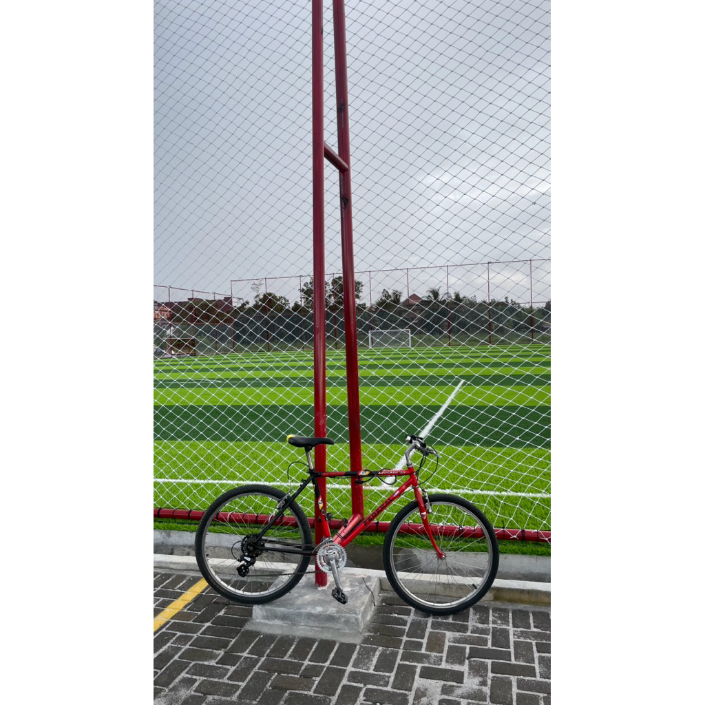 sepeda federal streetcat