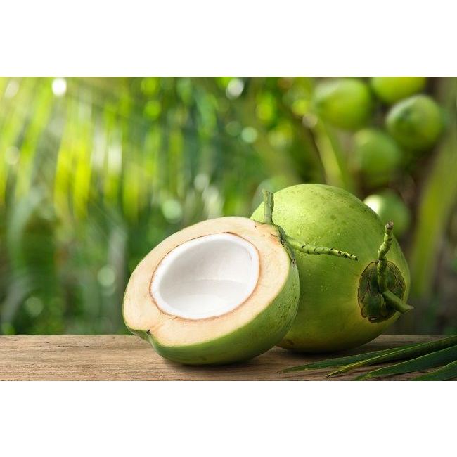 

Kelapa