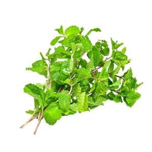 

daun mint 50g