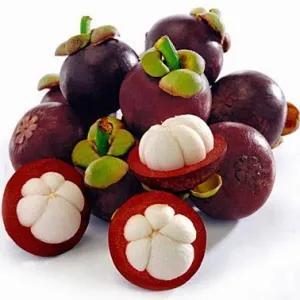 

buah manggis fresh 1 kg/1000 gram