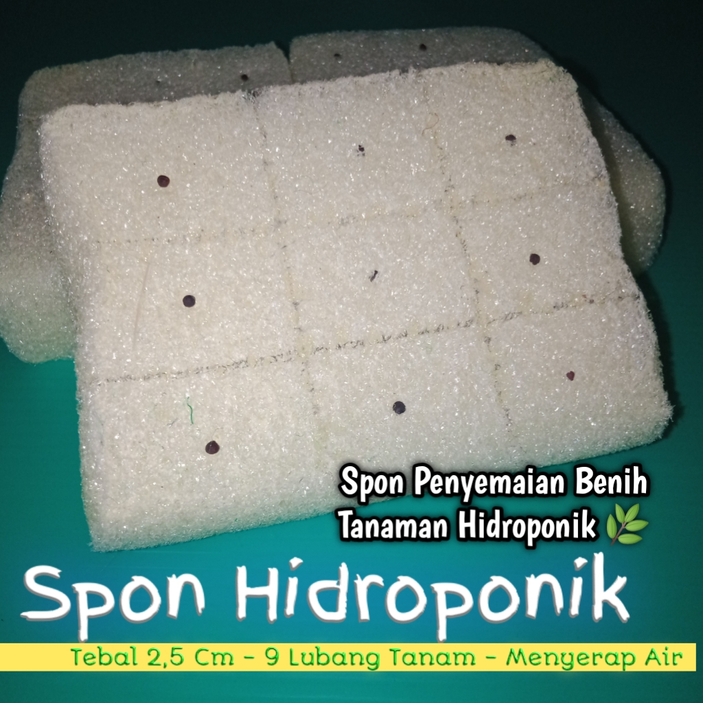 Spon Hidroponik Spon Media Semai Tanaman Hidroponik