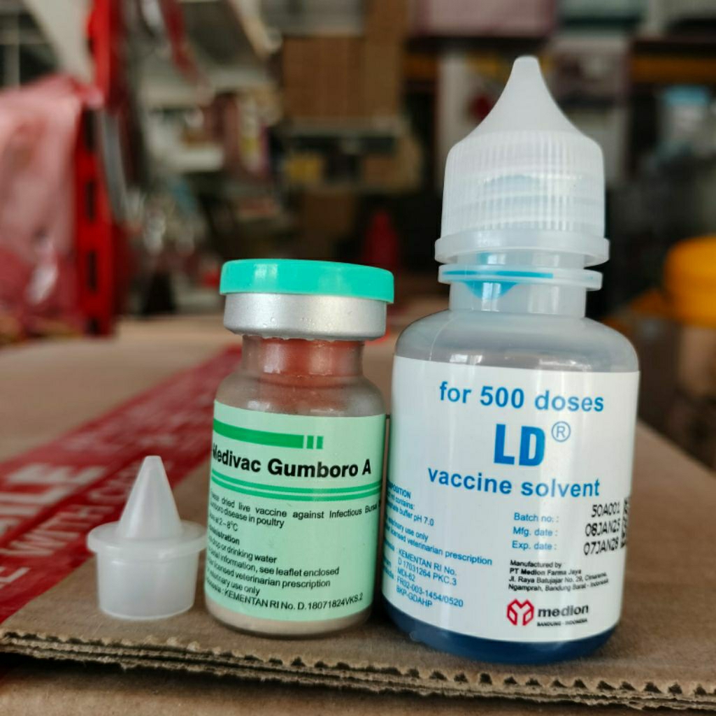 VAKSIN MEDIVAC GUMBORO A 500 ekor - penyakit gumboro