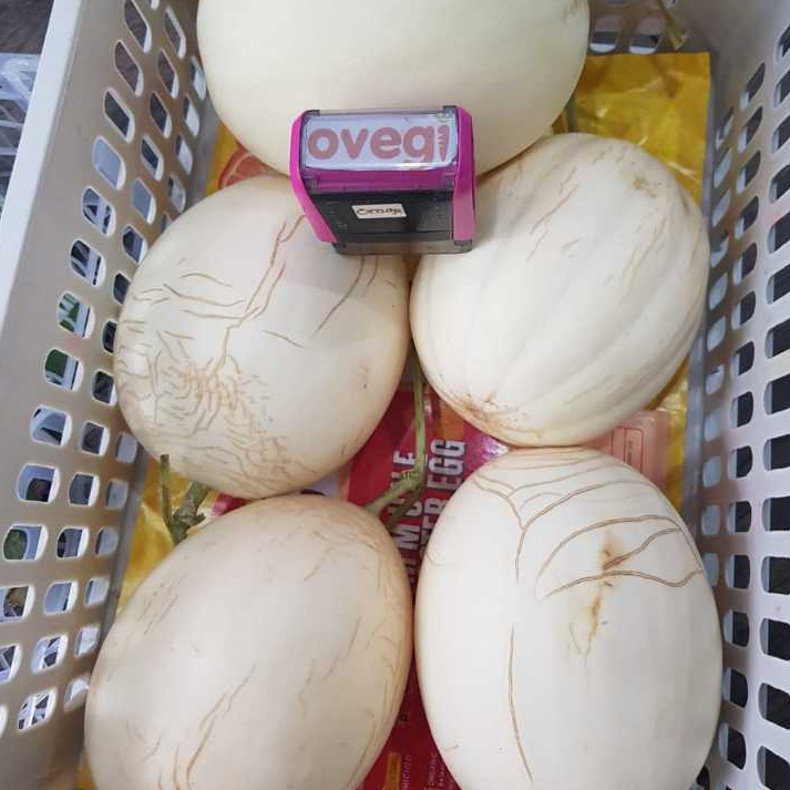 

MELON SWEET HONEY PREMIUM/MELON PREMIUM/MELON SWEET HONRY 1 PCS