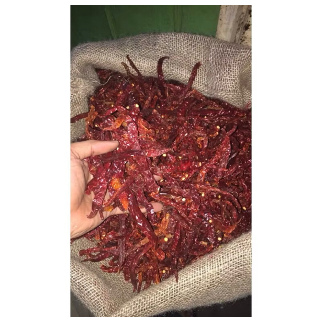 

Cabai keriting super/Cabai keriting Teja/Cabe campur camplak super pedas 1 kg