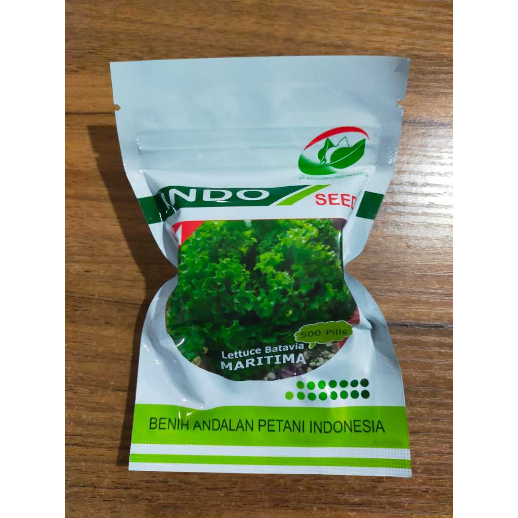 Benih Bibit Selada MARITIMA Maritima Batavia lettuce Indo seed isi 500 pills
