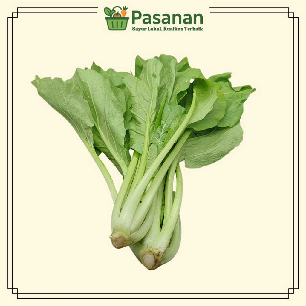 

Sawi Ijo Segar 250g/1kg Cocok untuk Sayur Siap Masak - Pasanan