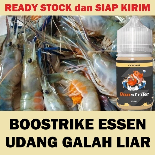 BOOSTRIKE ESSEN MANCING UDANG GALAH LIAR ISI 30ML