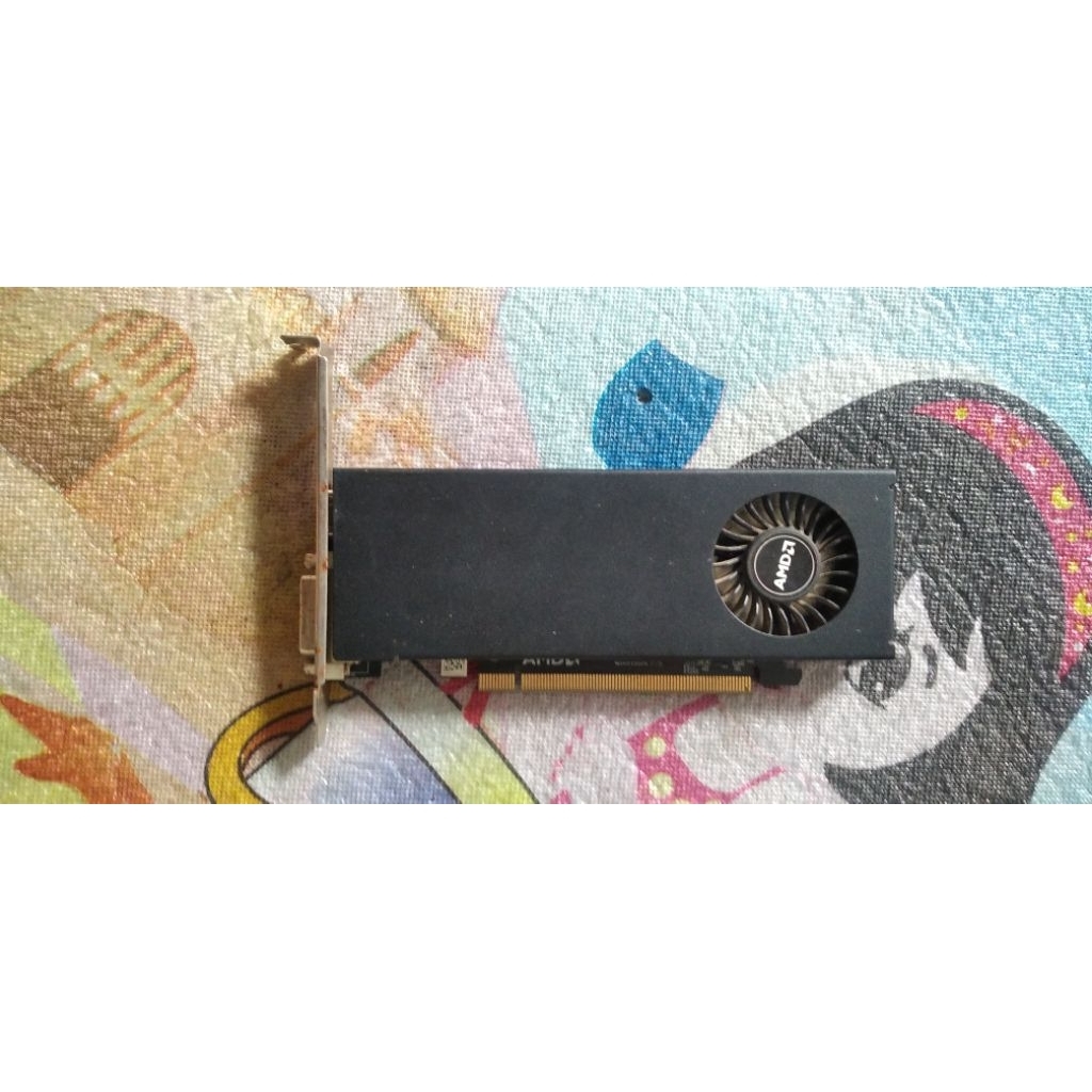 VGA RX550 LP 2GB