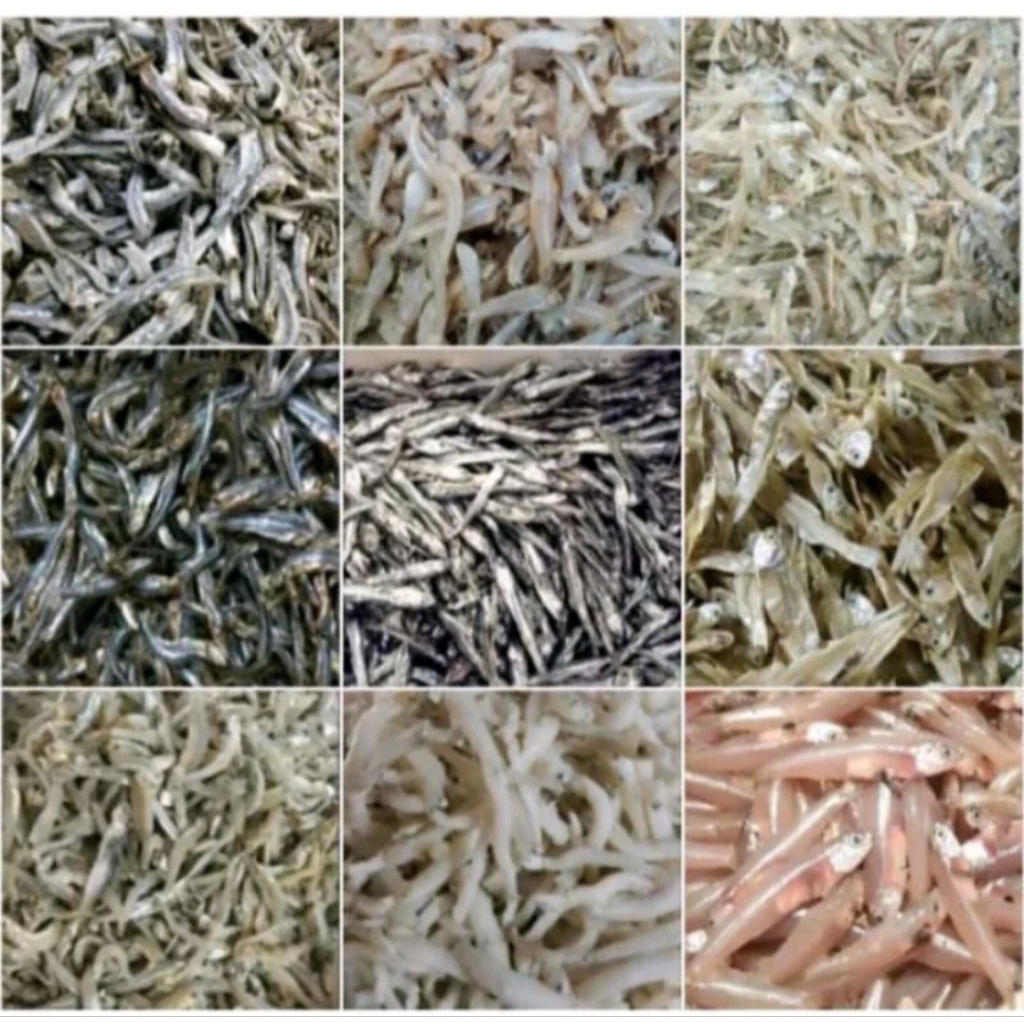 

Aneka ikan teri /Teri nasi /Teri Medan /Teri daging/Teri jengki..