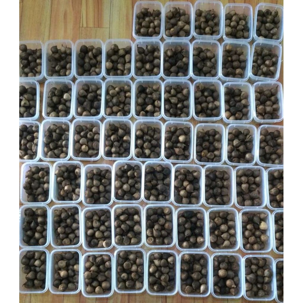 

10KG black garlic