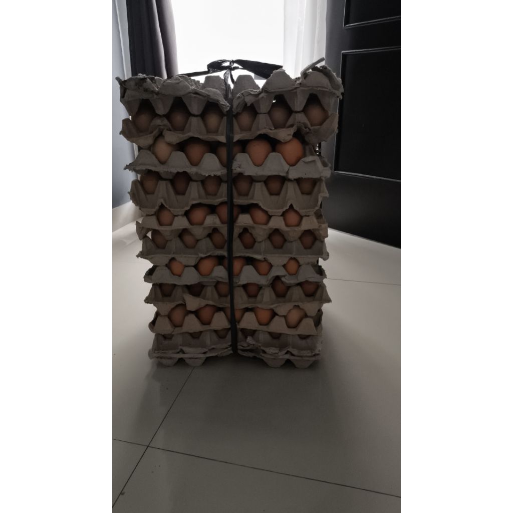 

Opick Endog - Telur Ayam Negeri