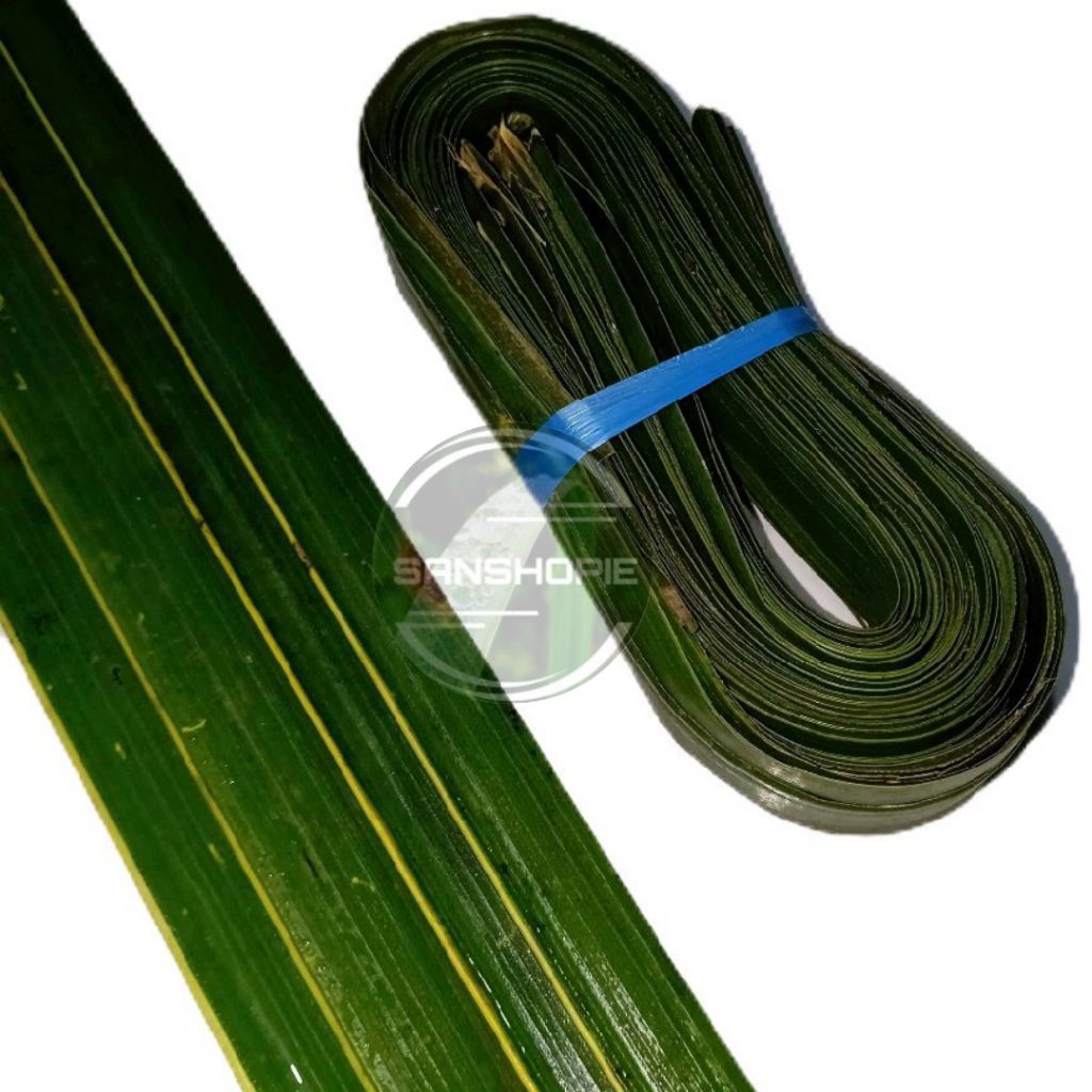 

Daun Kelapa hijau - Tanpa Lidi / Paket 100 Lembar