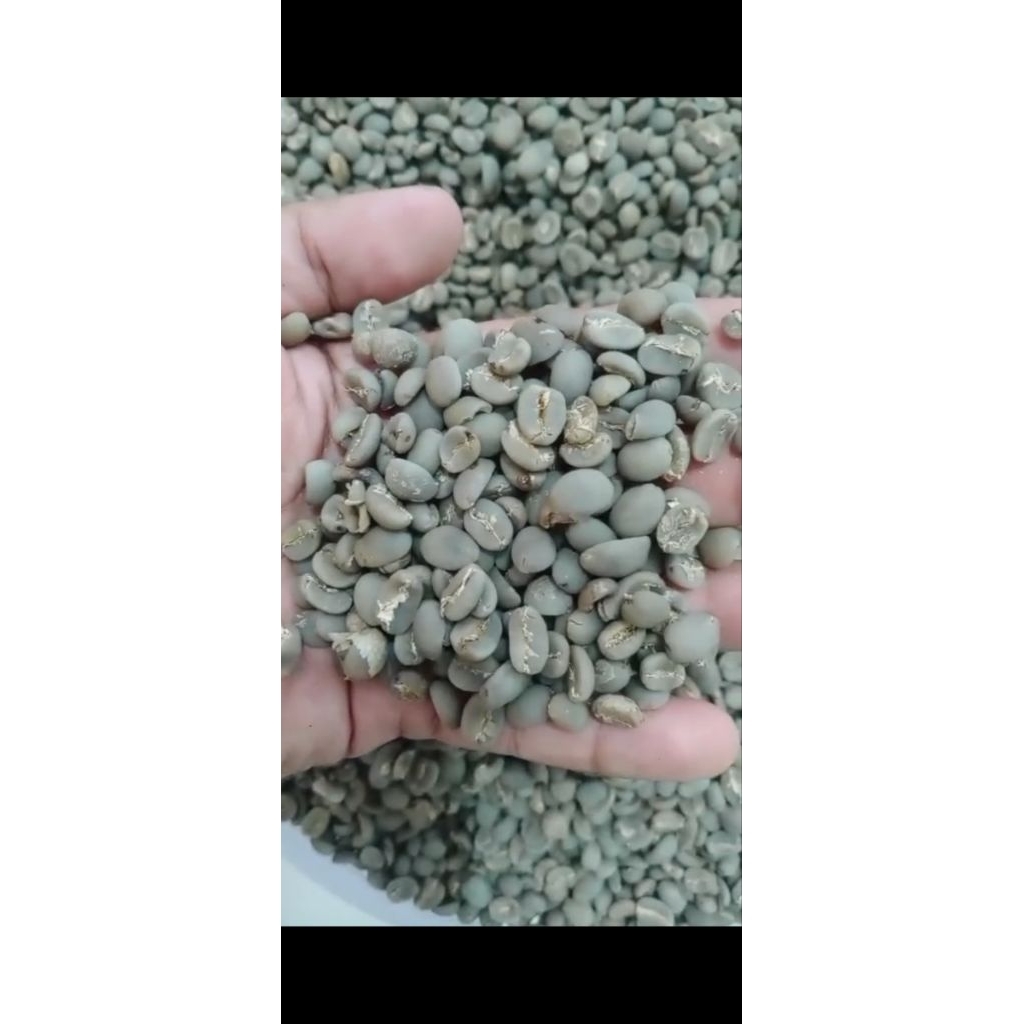 

Green Bean Arabica Toraja Semi Wash Grade 1