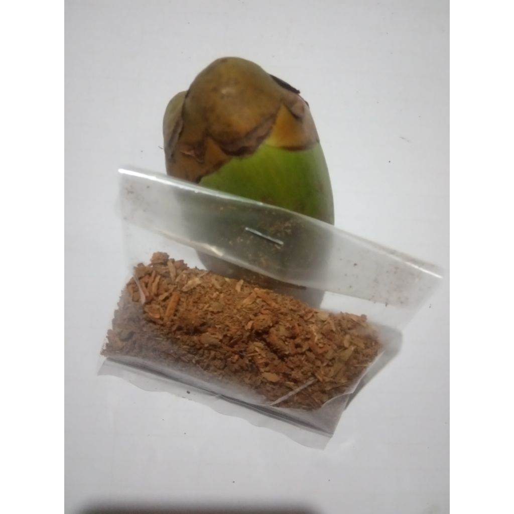 

Herbal Diabetes Dari Beluk Kelapa Serbuk. 50gram
