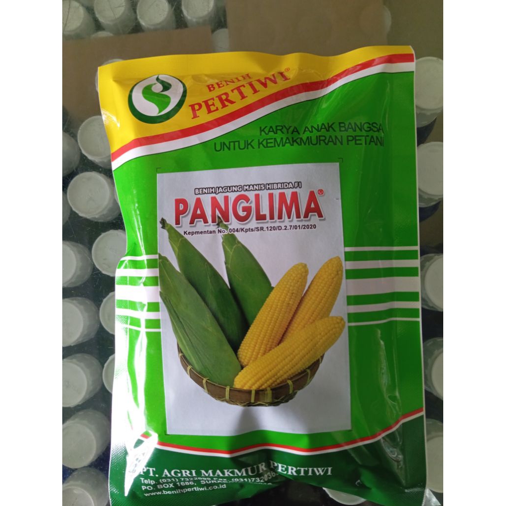benih jagung manis Hibrida f1 PANGLIMA