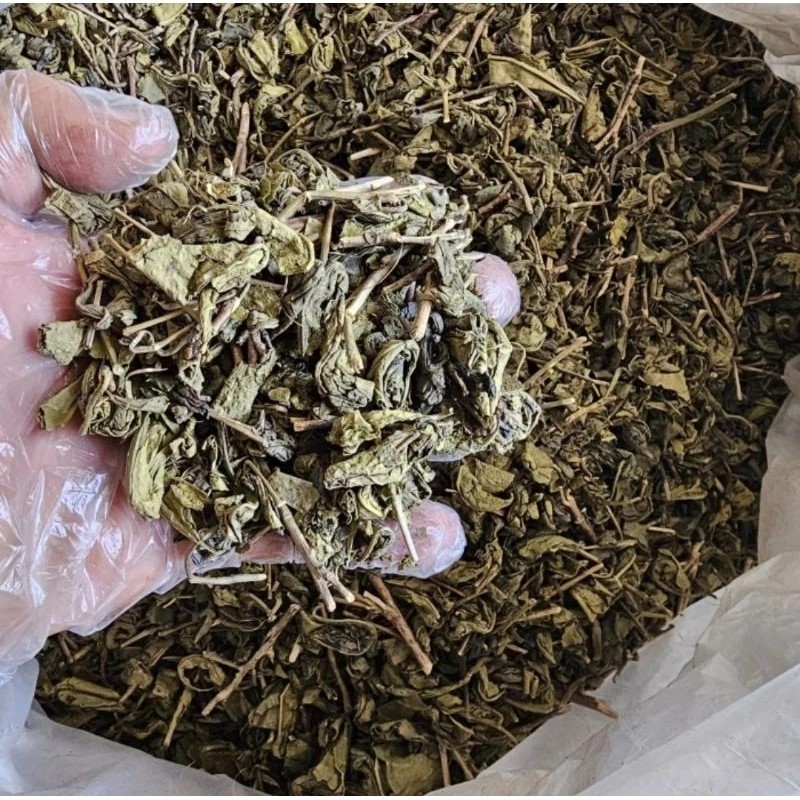 

Daun Teh Hijau Kering 500gr / Teh Hijau / Green Tea