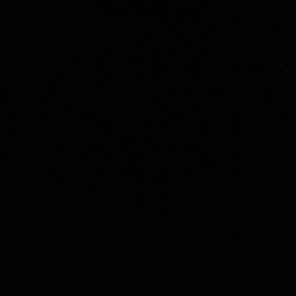 

jeruk sunkist segar 500gr