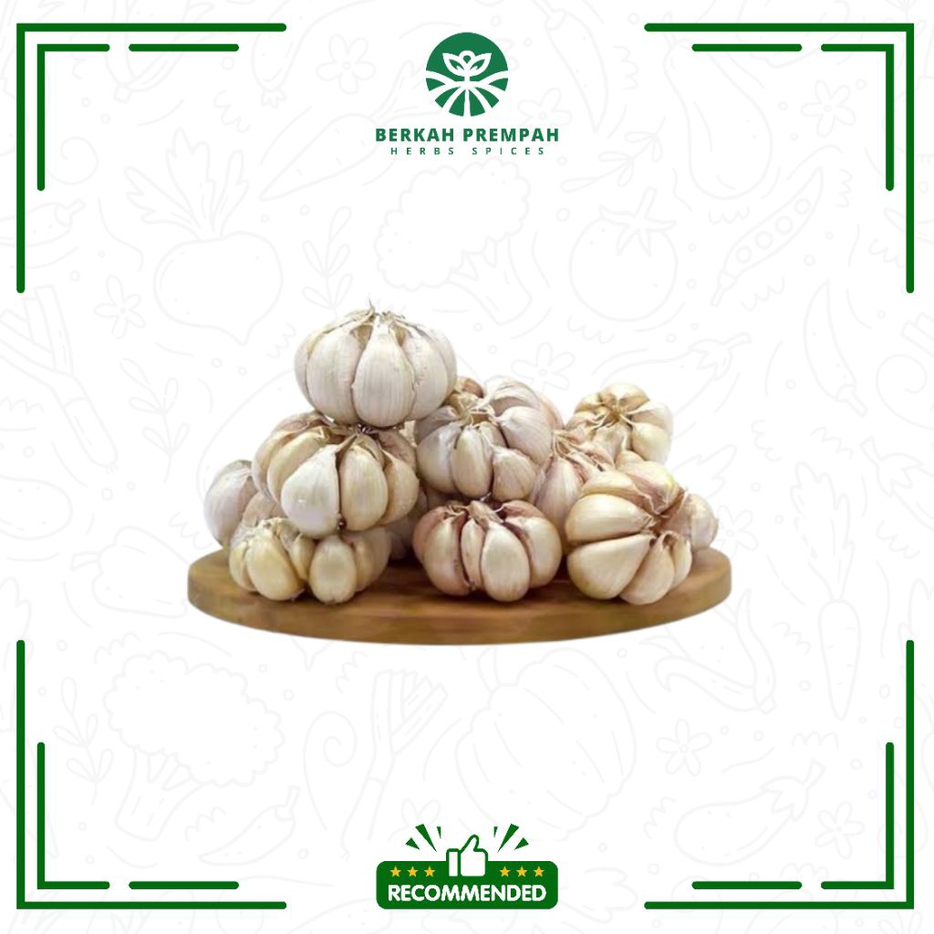

Bawang putih honan / Bawang putih biasa premium / Bawang putih banci bersih - Berkah prempah
