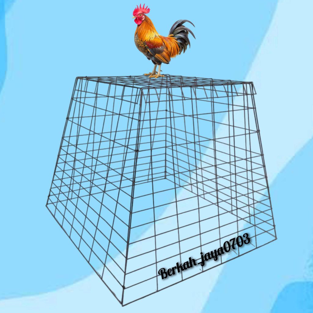 kandang ayam piramida lipat, kurung ayam bangkok