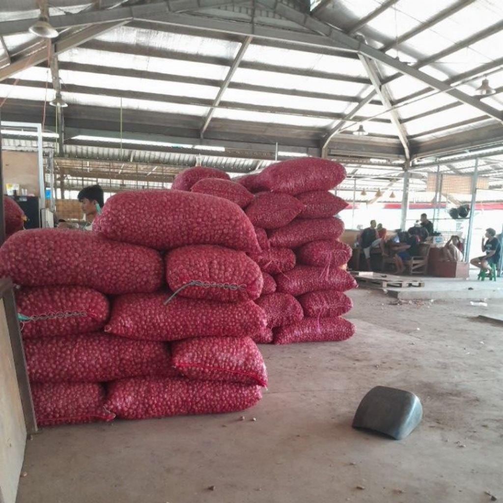 

Bawang Merah Brebes, Bima dan Jogja