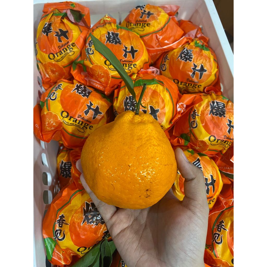 

JERUK KUPAS SUMO DEKOPONSEGAR FRESH