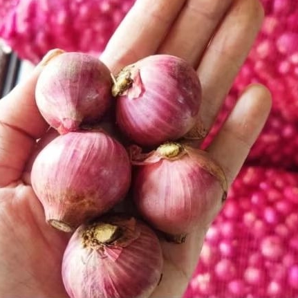 

bawang merah (khusus gosend)