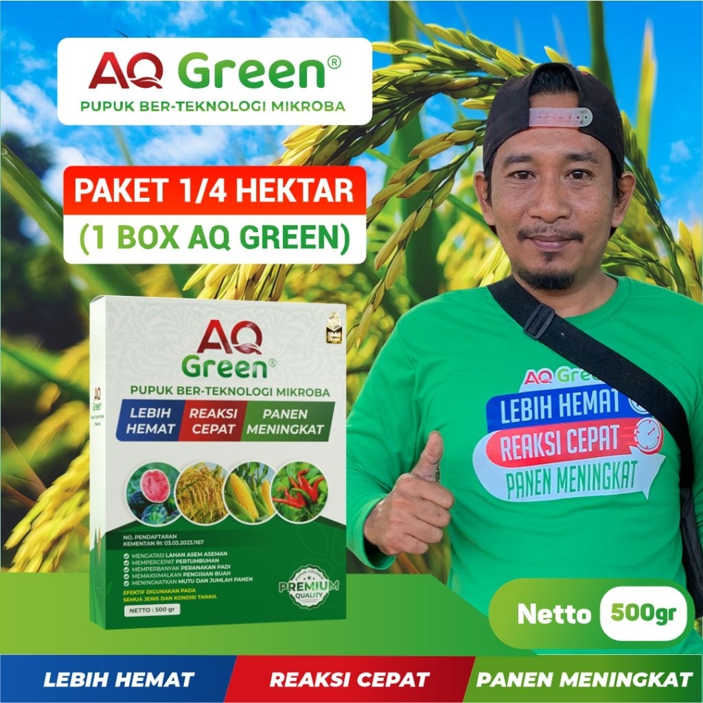 AQ GREEN 500 GRAM PAK MISBAH