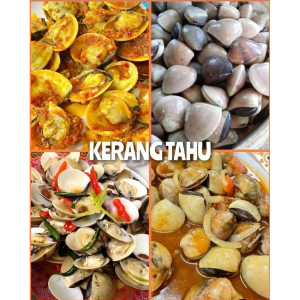 

Kerang Tahu 1kg