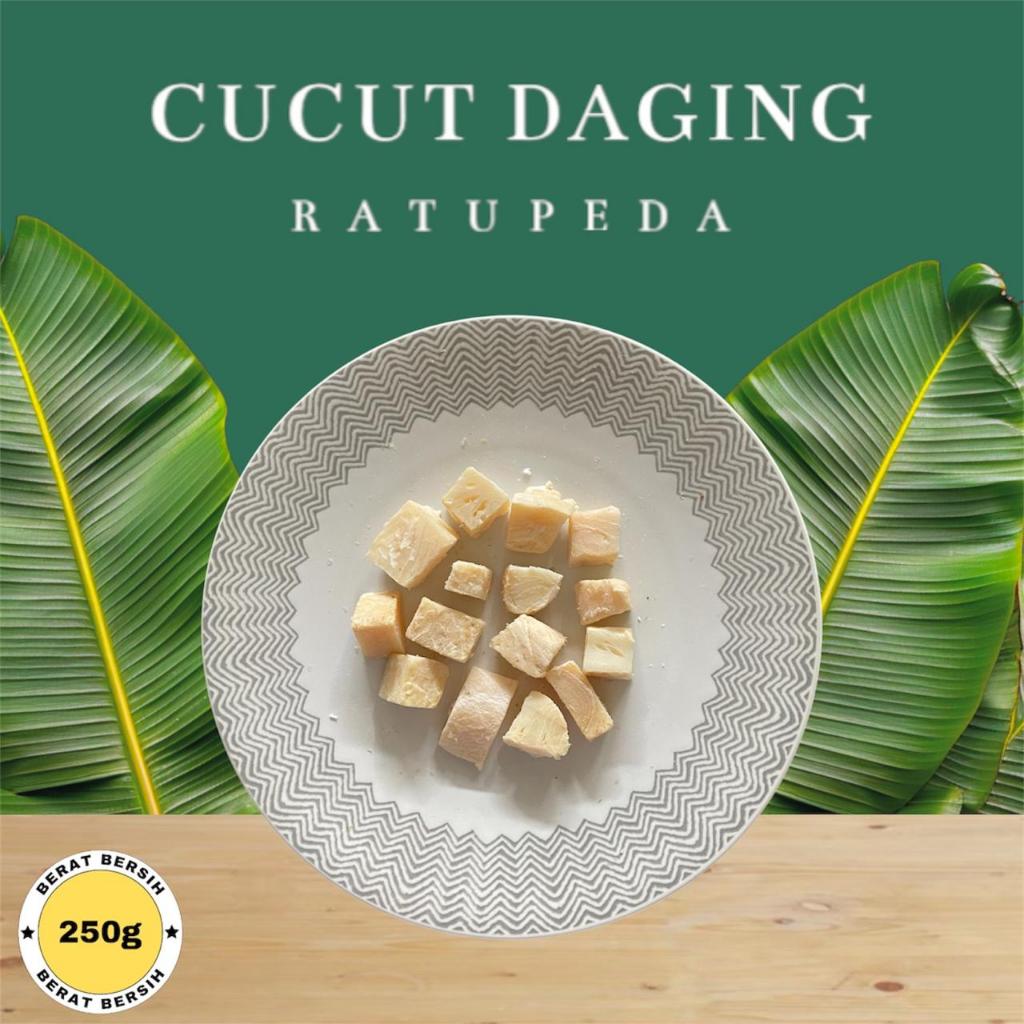 

Ikan Asin Cucut Kering 1 kg Potong Termurah Best Seller 250 Gram 500 Gram 1000 Gram - Ratu Peda Acin