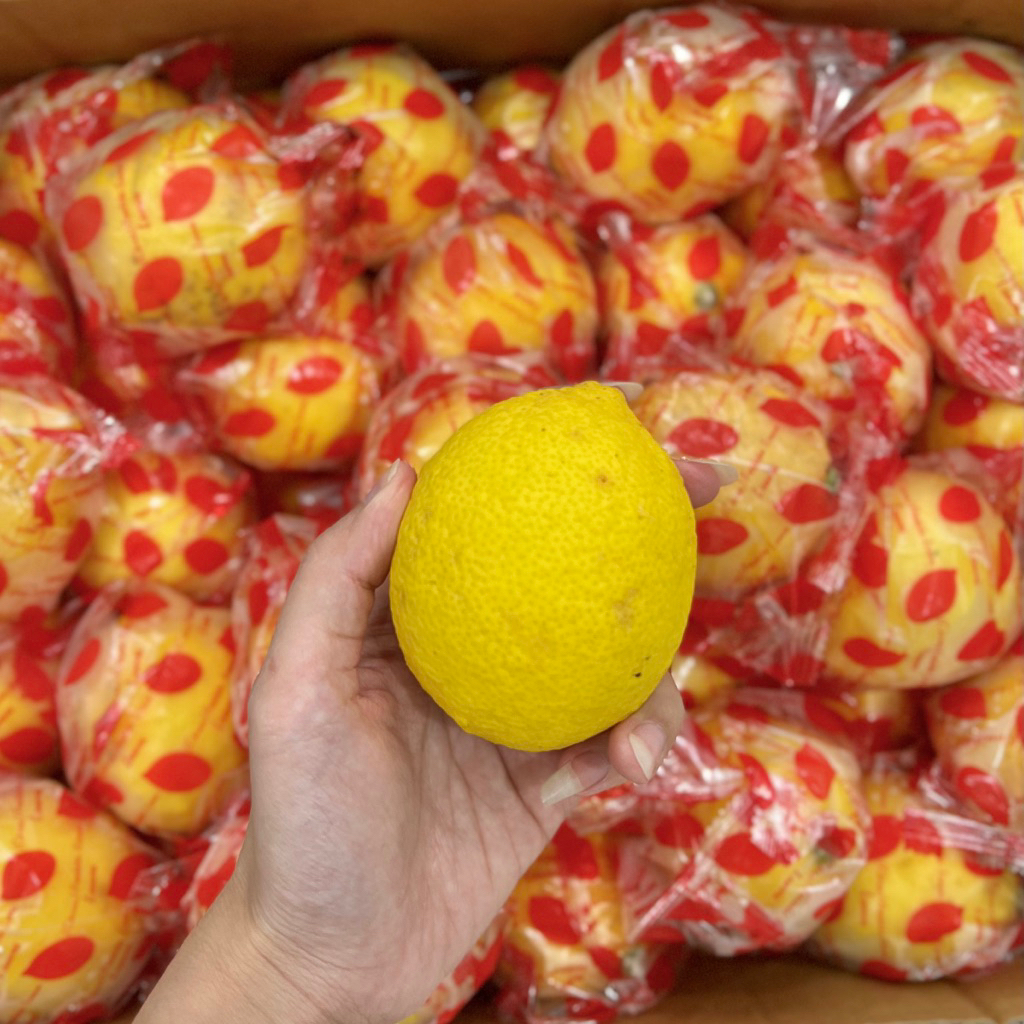 

LEMON RRC 1 KG | BUAH LEMON SEGAR banyak air fresh