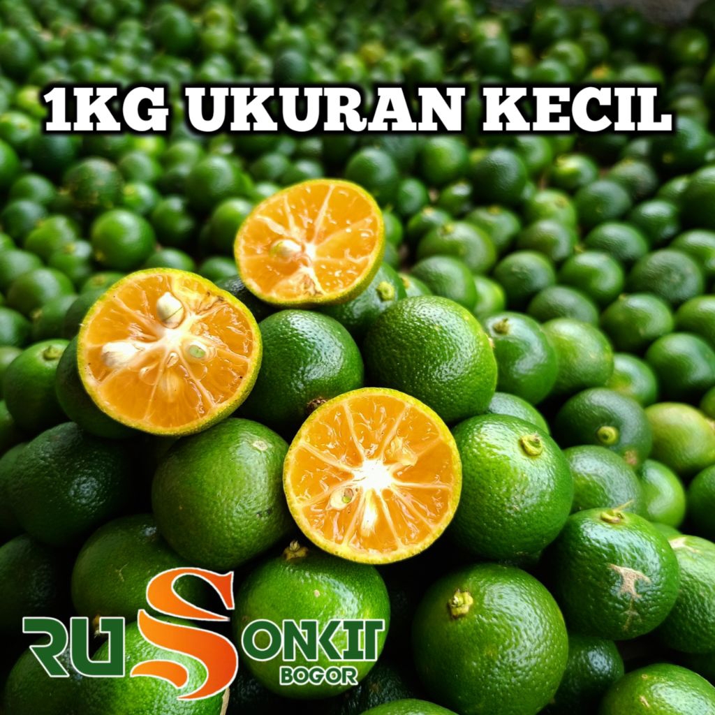 

1kg jeruk sonkit jeruk kasturi lemoncui jeruk peras