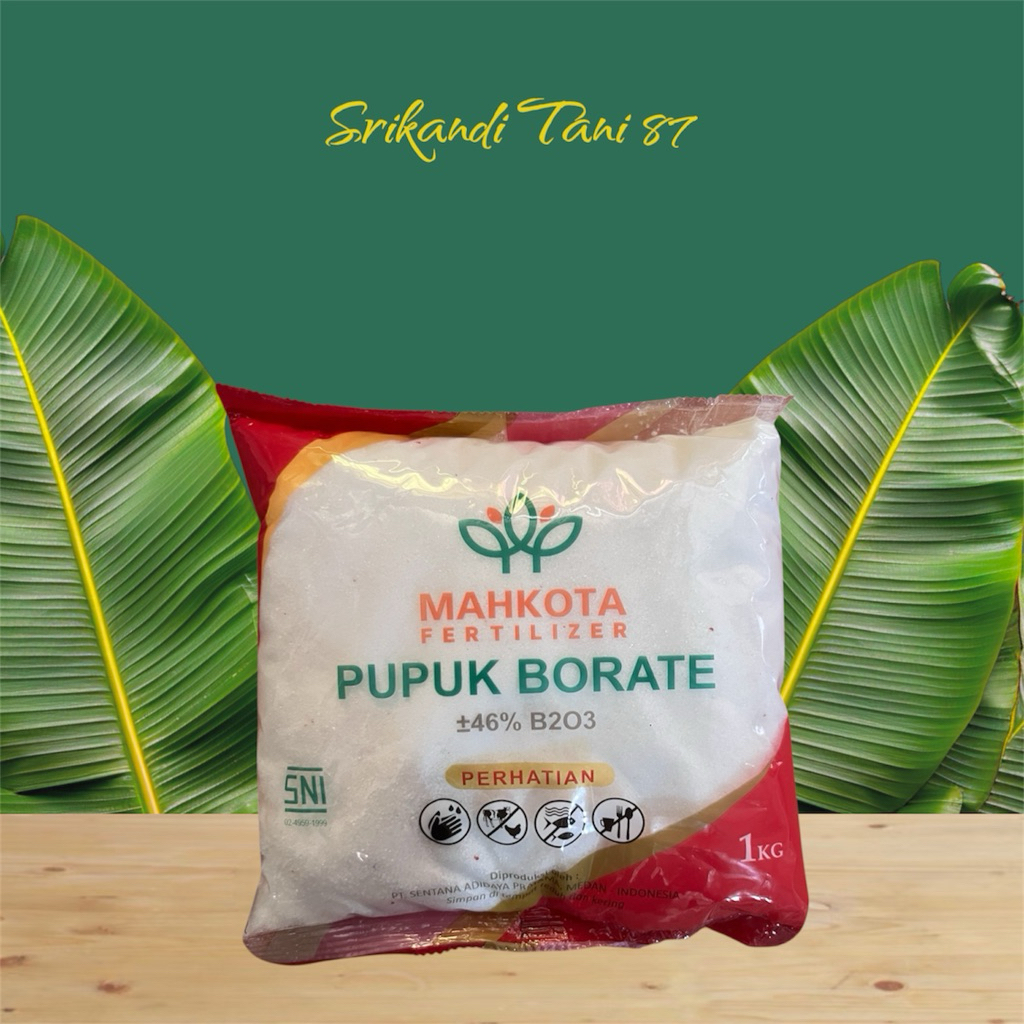 Pupuk BORATE 1KG