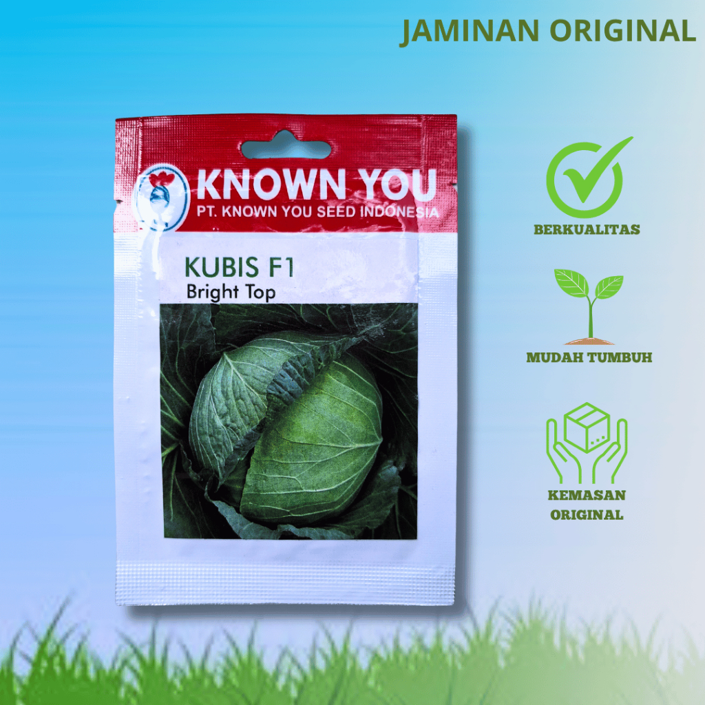 Benih Kubis F1 BRIGHT TOP 200 seed Known You Seed