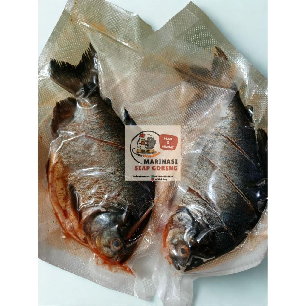 

Bawal Merah Marinasi