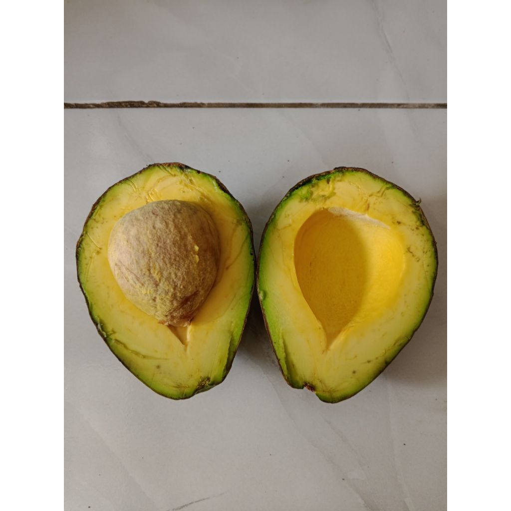 

Alpukat mentega super bergaransi 1 kg isi 3-4-5-6 Buah