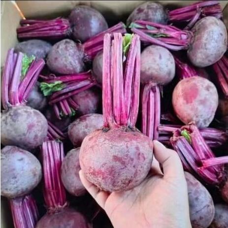 

Buah Bit 1 kg beetroot 1 kg fresh