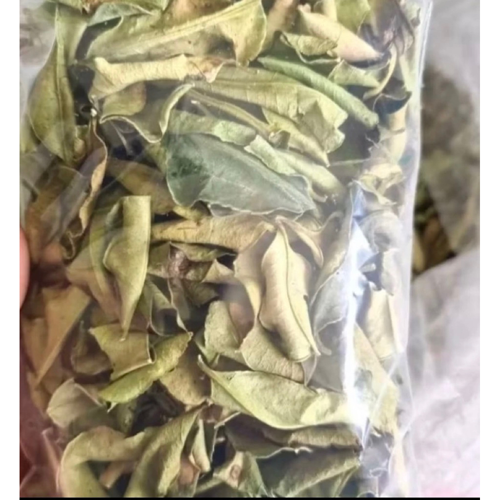 

daun jeruk purut kering