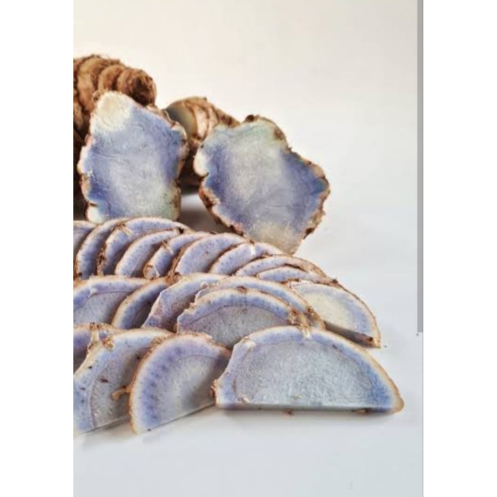 

temu hitam kunyit hitam segar