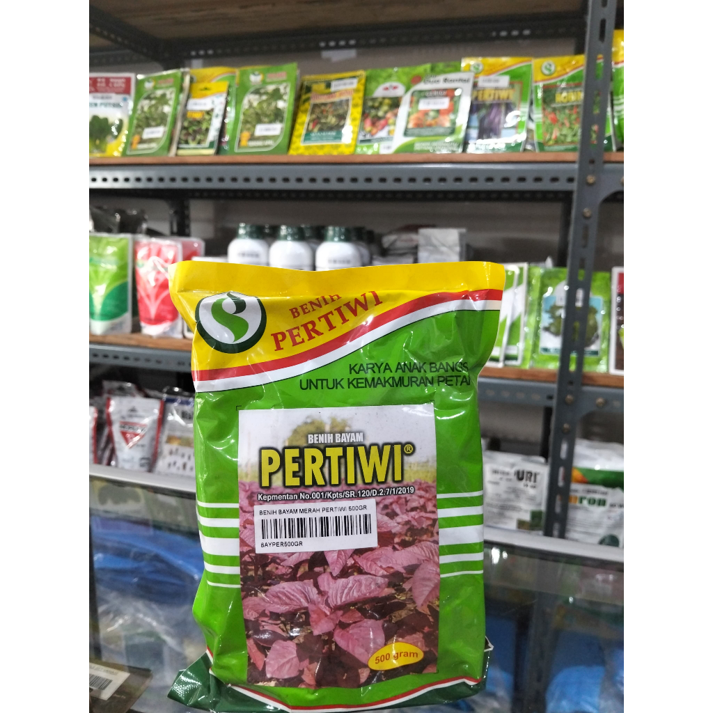 ( 500 gram ) Benih bayam merah PERTIWI 500 gram bibit bayam merah berkualitas dari benih pertiwi