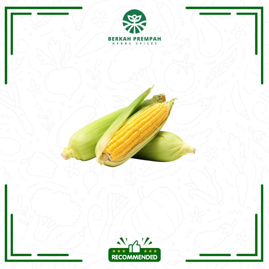

Jagung super segar 1000gr - BerkahPrempah