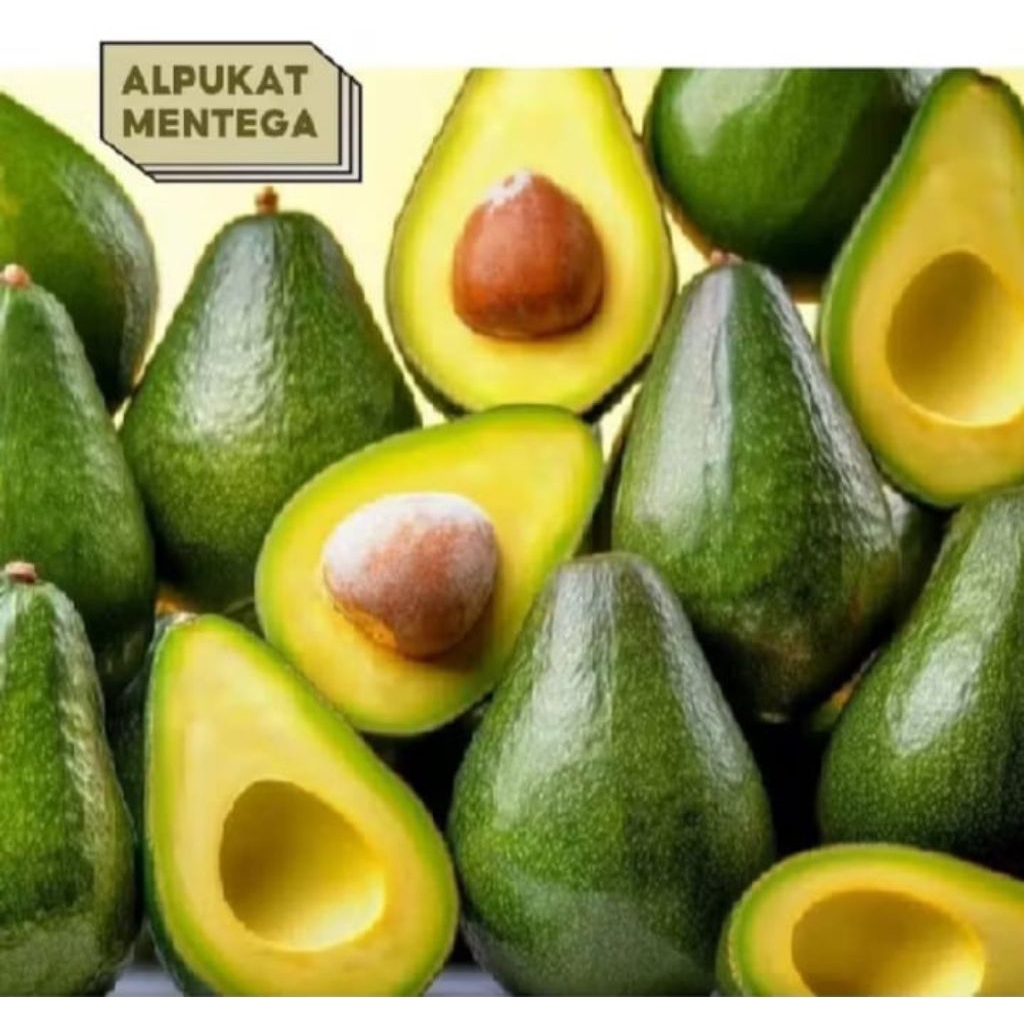 

(PROMO BEST SELLER) Alpukat mentega super kuning fresh 1kg isi 5-6-7