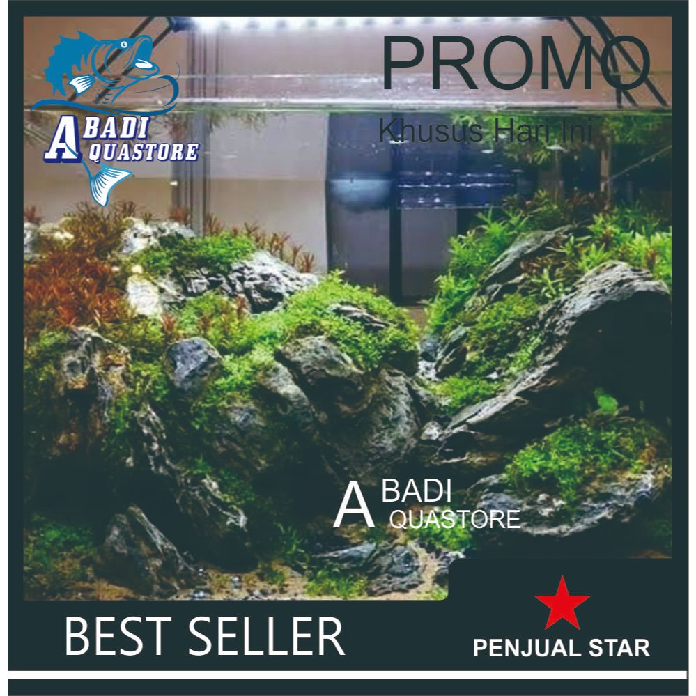 BATU AQUASCAPE TURLY | BATU AQUASCAPE | BATU AQUARIUM | BATU TANAMAN