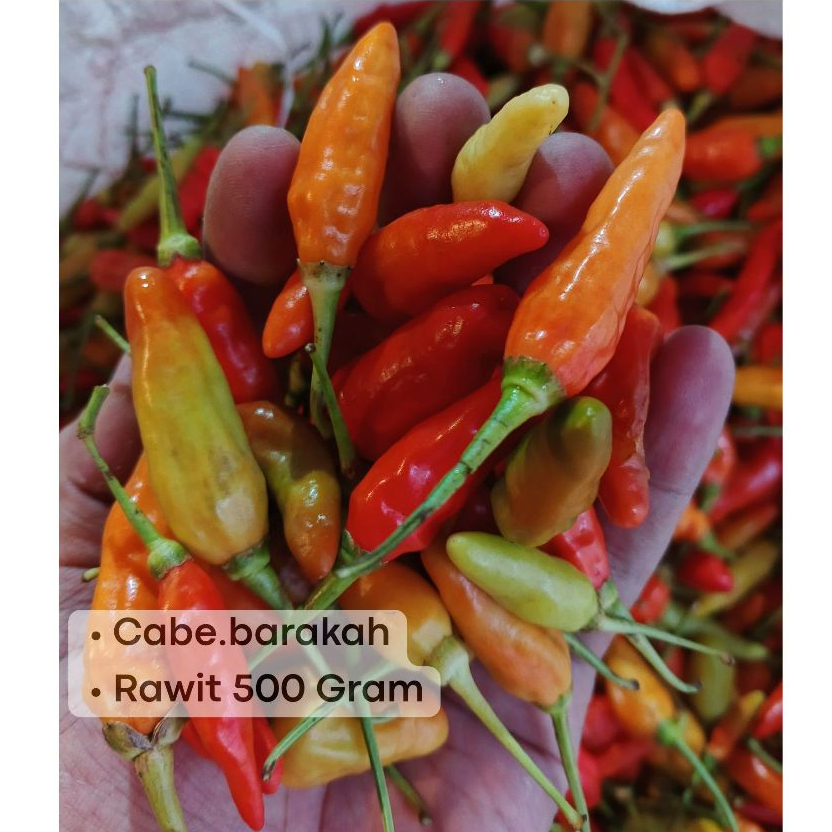 

Cabe Cabai rawit merah 500gram cabai cabe rawit merah 500gr cabai cabe rawit merah 1/2kg