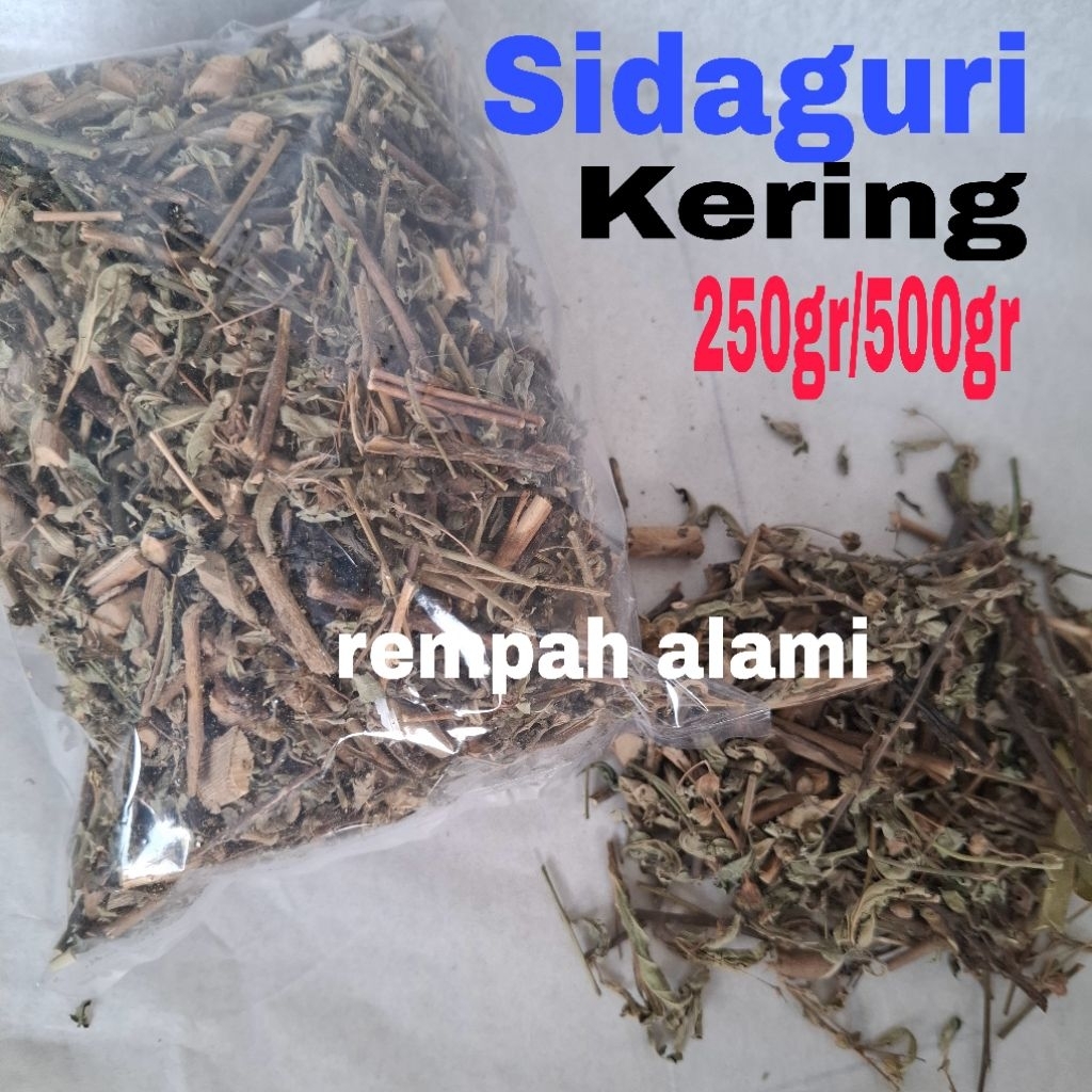 

Sidaguri / Sidoguri Kering 250/500gr