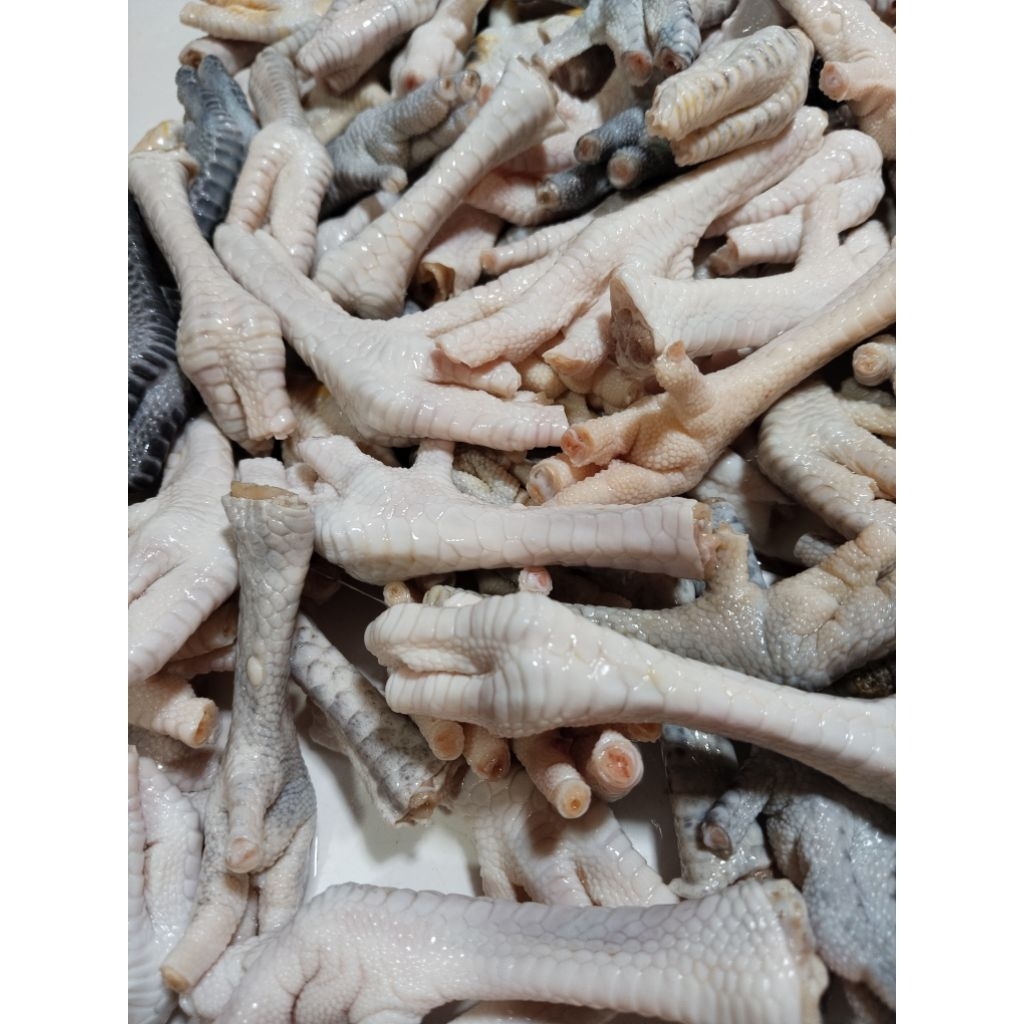 

CEKER AYAM KAMPUNG ORGANIK BERSIH&KUKU SDH DIPOTONG / JAMIN SEGAR