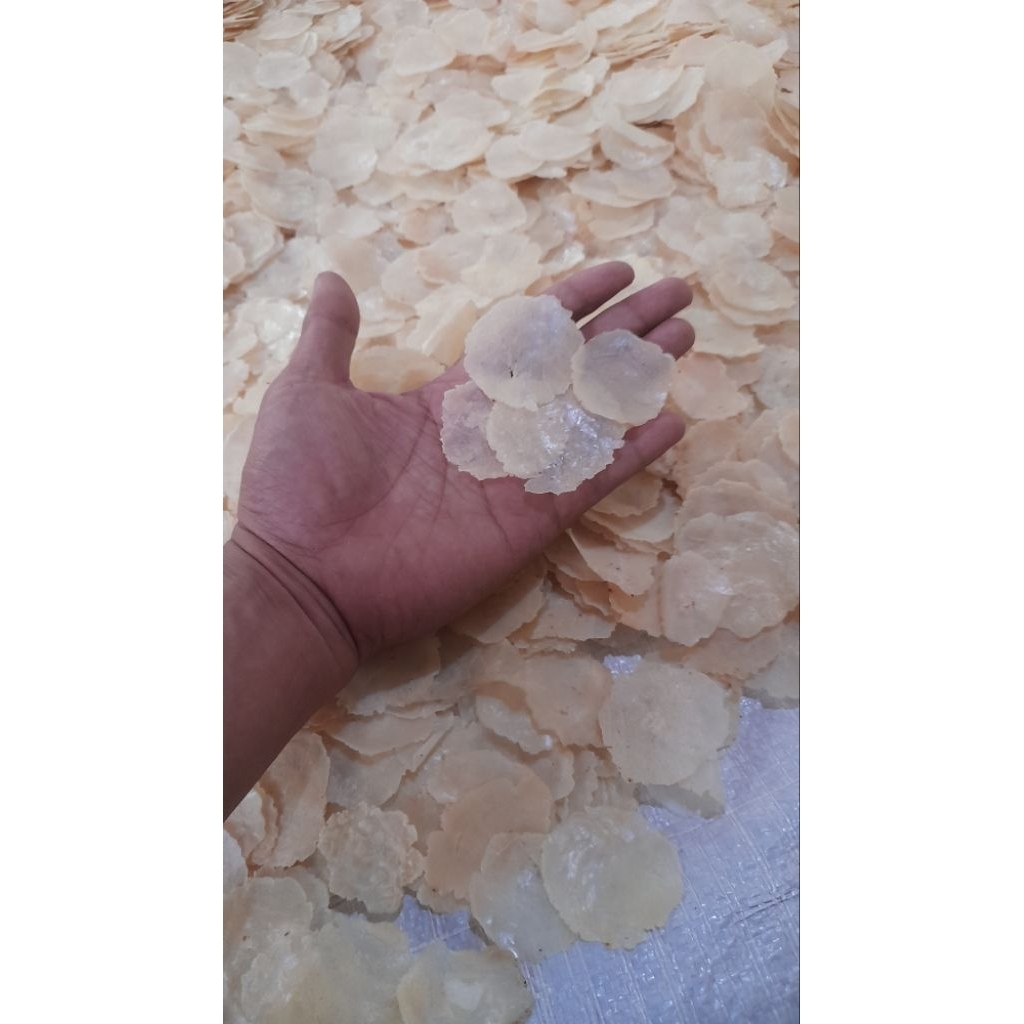

EMPING MELINJO KEBUMEN UK KECIL (BIJI 1-2)KEMASAN 1KG