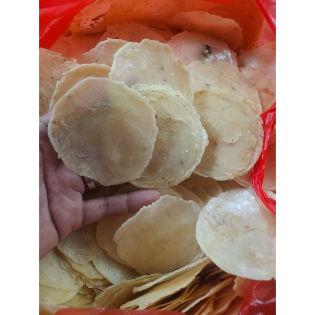 

EMPING MELINJO KEBUMEN UK BESAR (BIJI 4-5)KEMASAN 500gram