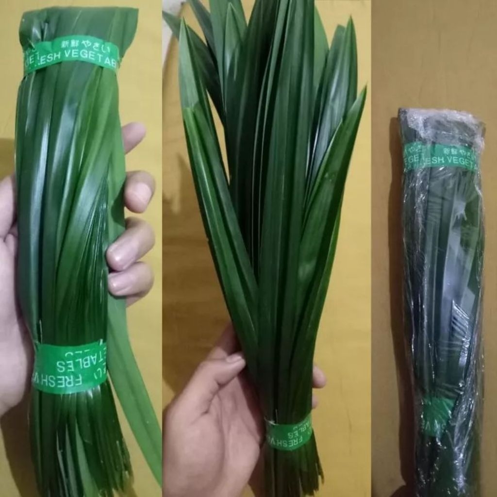 

daun pandan wangi segar per ikat / daun pandan murah