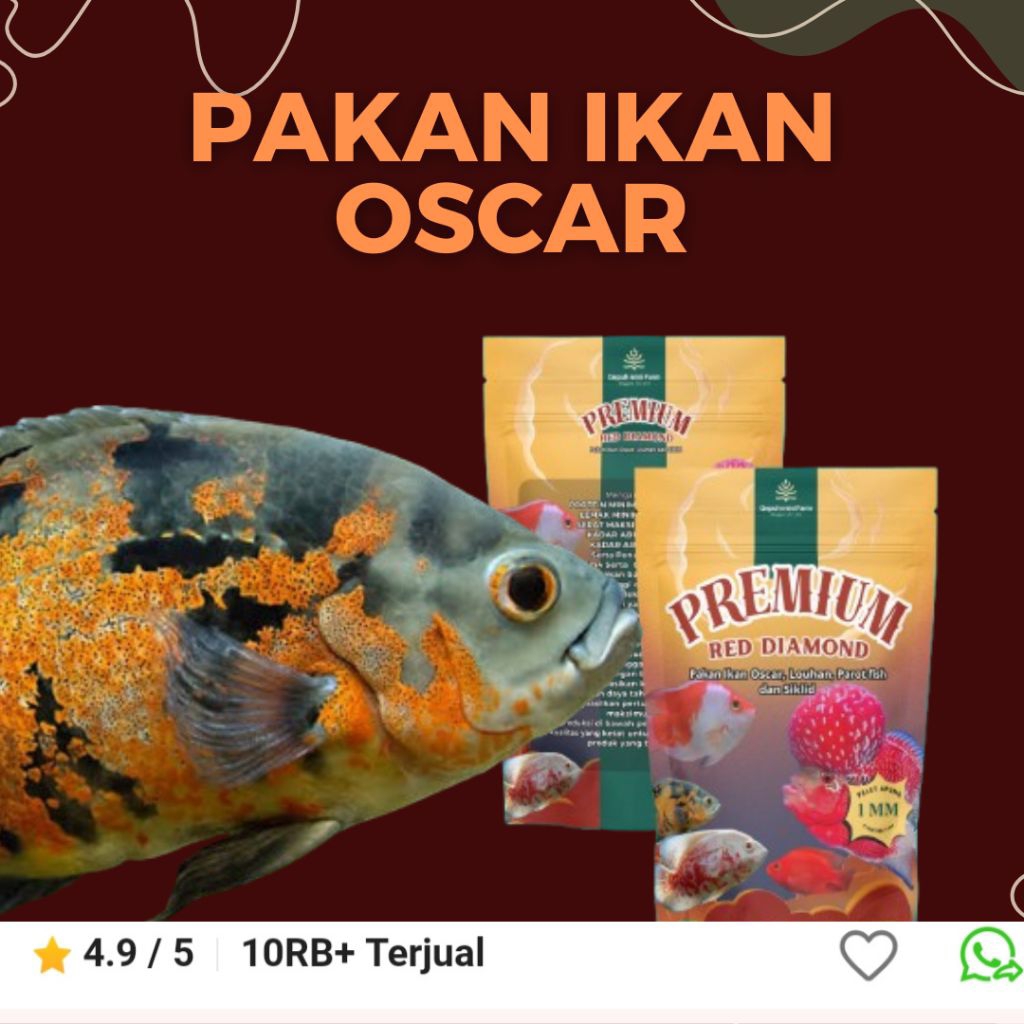 Pakan Ikan Predator Kecil Semua Jenis – Makanan Ikan Predator Chana Oscar Arwana Louhan – Tinggi Pro