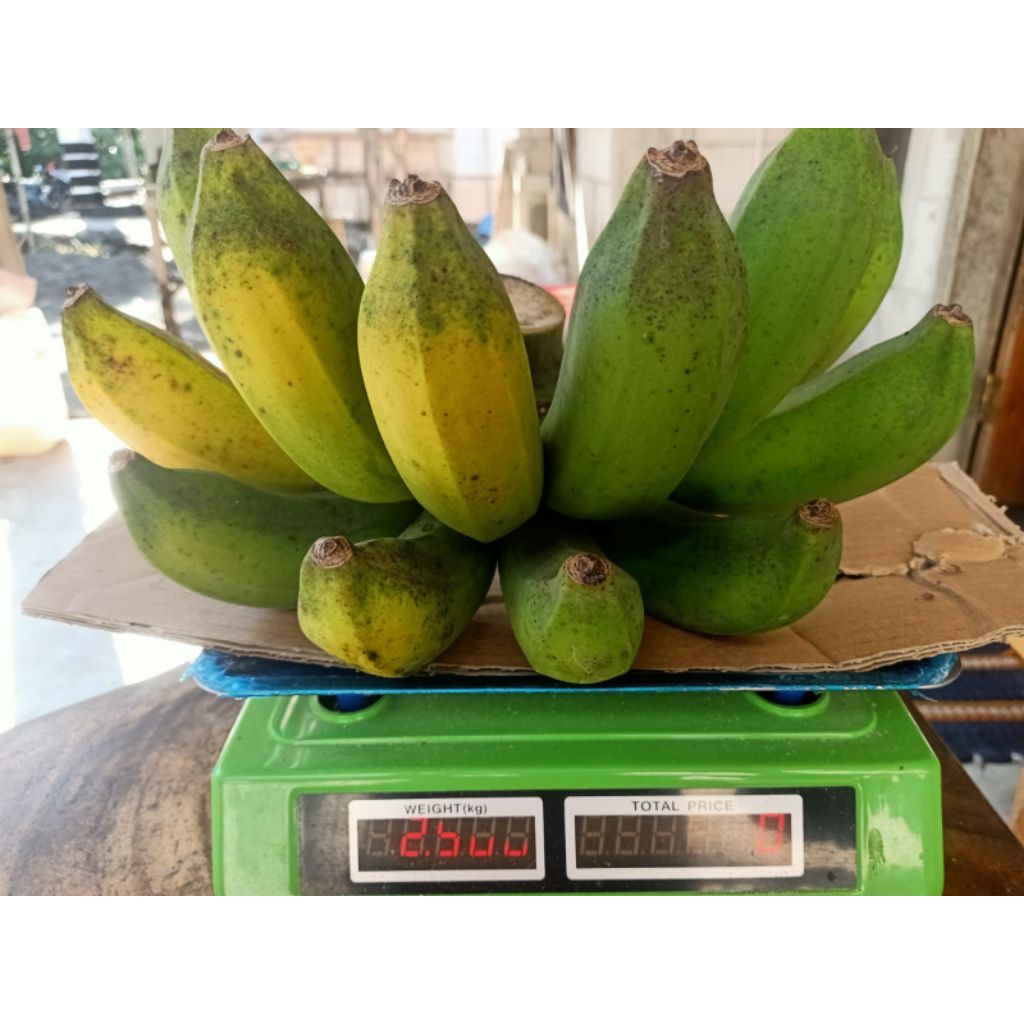

Pisang raja ijo raja sereh raja bulu